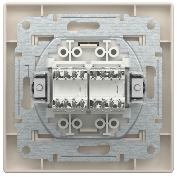 Schneider Electric Asfora EPH4400123 РОЗЕТКА КОМП'ЮТЕРНА RJ45 UTP КАТ. 5Е ПОДВІЙНА 99-00015599 фото