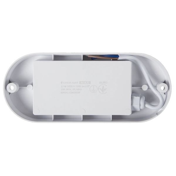 ENERLIGHT NIKA Світильник світлодіодний 12Вт 5000К IP65 99-00015236 фото